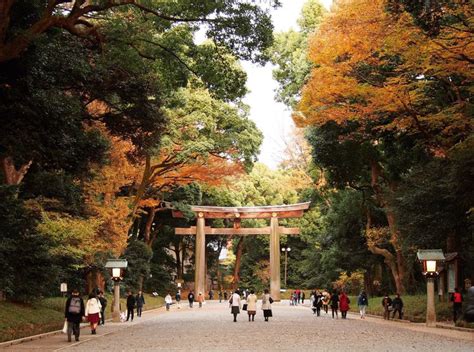 東京風水|パワースポット東京編☆一度は行っておくべき7つの聖地 